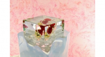 株式会社小野田商店のプレスリリース画像