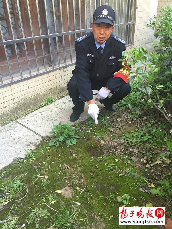 落下場所