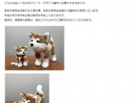 画像は「公益社団法人秋田犬保存会」のホームページより