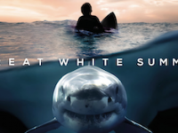 特定非営利活動法人イマジンのプレスリリース画像