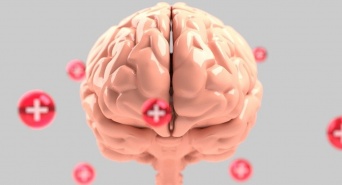 Dream Art Laboratoryのプレスリリース画像