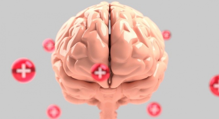 Dream Art Laboratoryのプレスリリース画像