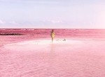 メキシコの海はピンク色！？　これが自然界の奇跡か…