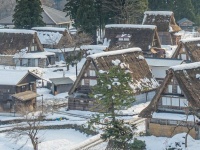 「昔ばなしに迷い込んだよう」　山に抱かれた「合掌造り集落」が雪の中でもあったかそう