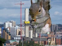 リスが狂暴化？次々と人を襲い病院送りにするキラーリス現る！（米カリフォルニア州）