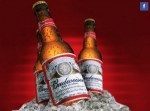 今晩にでもすぐに飲みたい！　世界のトップセラー・ビール１０選