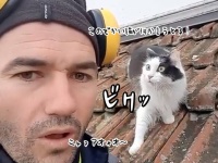 うちの猫も反応しただとぅ！猫の鳴きまねが上手い男性に翻弄される猫（要音声）