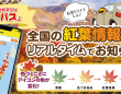 株式会社レンタスのプレスリリース画像