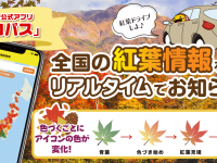 株式会社レンタスのプレスリリース画像