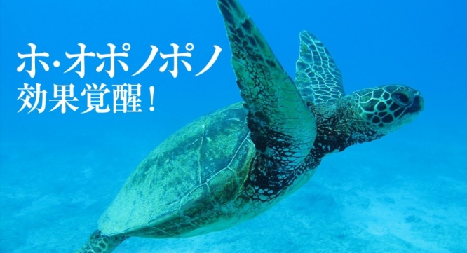 Dream Art Laboratoryのプレスリリース画像