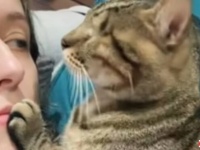 目が見えなくても愛情の深さはだれにも負けニャい！最愛の飼い主さんと幸せに暮らす盲目の猫
