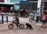 これぞ“犬猿の仲”と言うべき事態！自転車で犬から逃げ回る猿の様子が面白い