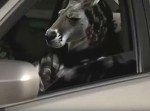 あのカンガルーパンチ動画がギャング映画に？　まさかの予告編公開…