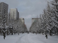 1月の札幌（MIKI Yoshihito (´･ω･)さん撮影、Flickrより）