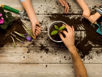 洗いすぎるとかえって危険。手洗いの回数を抑えて有益な細菌を体内に入れることがアレルギーを予防する（米研究）