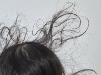 2歳児の天然〝無重力ヘア〟に7.9万人驚がく　「能力が暴走しちゃった」「現代のメドゥーサ」