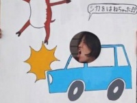 京都宝の森をつくる会提供（編集部で一部加工）。以下同