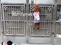 パーフェクト！賢い犬の連携プレイでドアを開けて中に入ってドアをまた閉めるまで