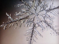 雪の結晶の奥深さ、繊細さを堪能したい人の為のインスタグラムアカウント