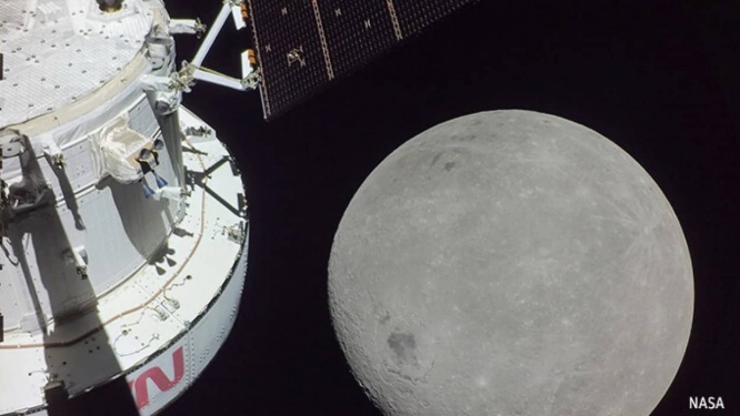 アルテミス1号と共に月を周回した植物の種子から育った苗木を全米で育てるプロジェクト