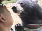 【閲覧注意】動物園で男性がクマに襲われる瞬間の映像…