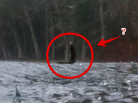 ネッシーの活動が活性化しているのか？グーグルアースに写るネッシーライクなものがまたもや発見される