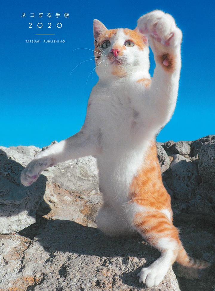 辰巳出版株式会社のプレスリリース画像