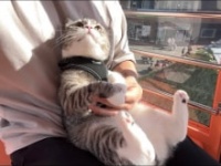 もちまる日記公式ユーチューブチャンネルより https://www.youtube.com/c/%E3%82%82%E3%81%A1%E3%81%BE%E3%82%8B%E6%97%A5%E8%A8%