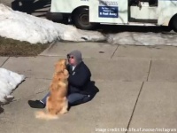 その犬は気づいていたのかもしれない。郵便配達員が最愛の犬を失い、悲しい思いをしていたことを