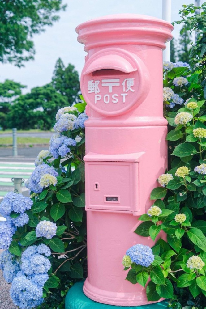 ピンクとパープルの共演だ（画像は宵月 絃（＠__yoii_to）さんのツイートより）