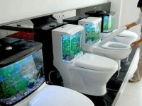 一日最低1度はこもる場所だから。アグレッシブなトイレのデザイン