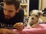 お菓子を必死に見つめる犬⇒飼い主がこっちを見たら…