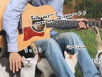 こんな動画だけ見ていたい。野良猫たちの為の野外コンサート会場はこちらです