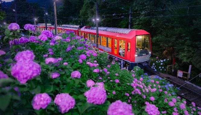 「夜のあじさい号」この景色、かなりエモい （画像は小田急箱根のニュースリリースより）