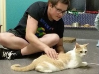 彼が心を開くまで。盲目の猫に毎日本を読み聞かせた19歳の少年。そしてついに心が通じ合う仲に（アメリカ）