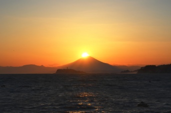 リビエラグループのプレスリリース画像