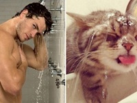 さあどっち？人間モデルと猫のポージング対決待ったなし