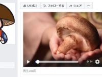のとてまりのfacebookより