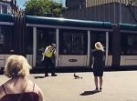 警察官がアヒルの家族を守りながら道路を渡る光景にほっこり。