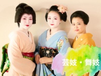 自分で決めた道を、歩み続ける。舞妓・芸妓として活躍する彼女たちの「働き方と生き方」