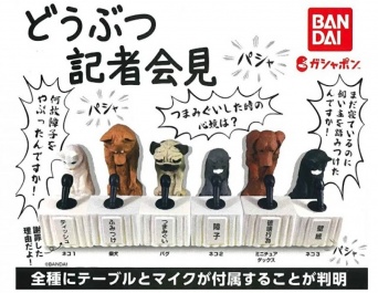 犬と猫が申し訳なさそうに謝罪するカプセルトイ「どうぶつ記者会見 」が販売中！