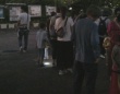 昨年度の「セミの羽化の観察会」（猿江恩賜公園公式サイトより）