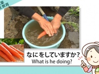 アテイン株式会社のプレスリリース画像