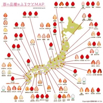 苺の品種別ふるさとMAP（画像提供：豊洲市場ドットコム）