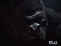 【最強ヴィラン】海ドラ「THE FLASH/フラッシュ」を見るなら是非とも知っておきたい「ゴリラ・グロッドに関する10の事実」