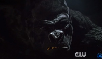 【最強ヴィラン】海ドラ「THE FLASH/フラッシュ」を見るなら是非とも知っておきたい「ゴリラ・グロッドに関する10の事実」