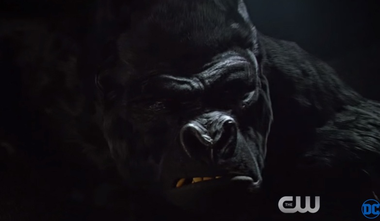 【最強ヴィラン】海ドラ「THE FLASH/フラッシュ」を見るなら是非とも知っておきたい「ゴリラ・グロッドに関する10の事実」