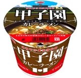 エースコック 阪神甲子園球場監修 甲子園カレーラーメン 117g×12個