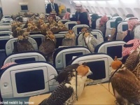 サウジアラビアの王族が80羽のハヤブサのために飛行機の座席を購入。その理由とは？