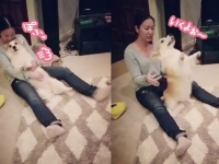 落ちるよ溶けるよ！飼い主を信頼しきっている犬、その身を飼い主にゆだねる「トランスフォール」ごっこを楽しむ。